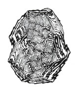 G2 Grafica 76