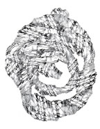 G2 Grafica 78