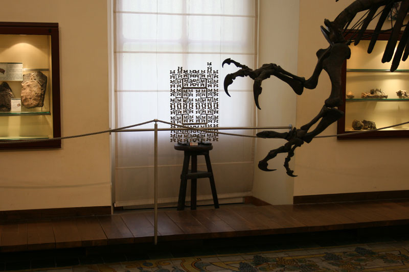 2010 - Museo di Paleontologia,  Napoli
