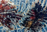F2 Attrattore in acqua