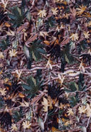 F2 Autunno frattale