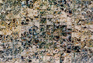 F2 Collage 03