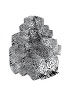 G2 Grafica 12
