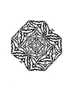 G2 Grafica 15